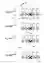 Fig. 46 - MODULARIZED SELF-ADDRESSING APPARATUS AND METHOD
