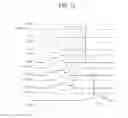 Fig. 15 - Display device and method for driving same