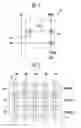 Fig. 03 - Touch screen display device