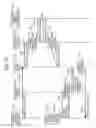 Fig. 12 - Apparatus, system, and method of controlling display image, and recording medium