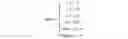 Fig. 02 - Voice-triggered macros