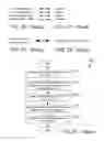 Fig. 08 - Compiler optimizations for vector operations that are reformatting-resistant