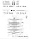 Fig. 08 - Compiler optimizations for vector operations that are reformatting-resistant