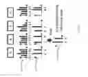 Fig. 32 - FAST ADAPTIVE SIMILARITY DETECTION BASED ON ALGORITHM-SPECIFIC PERFORMANCE