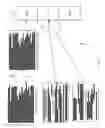 Fig. 38 - FAST ADAPTIVE SIMILARITY DETECTION BASED ON ALGORITHM-SPECIFIC PERFORMANCE
