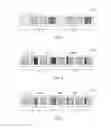 Fig. 02 - Parallel quicksort