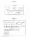 Fig. 30 - SYSTEM, METHOD FOR PROCESSING INFORMATION, AND INFORMATION TERMINAL
