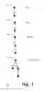 Fig. 02 - Method and/or system for manipulating tree expressions