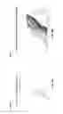 Fig. 03 - Capillary pressure analysis for petrophysical statistical modeling