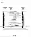Fig. 11 - Capillary pressure analysis for petrophysical statistical modeling