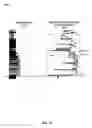 Fig. 12 - Capillary pressure analysis for petrophysical statistical modeling