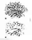 Fig. 10 - Methods for determining correlated residues in a protein or other biopolymer using molecular dynamics