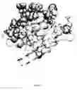 Fig. 16 - Methods for determining correlated residues in a protein or other biopolymer using molecular dynamics
