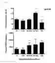Fig. 03 - METHODS AND MATERIALS FOR CHARACTERIZING INTESTINAL BARRIER FUNCTION