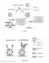 Fig. 05 - Integrated health data capture and analysis system