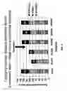 Fig. 07 - System and Method for Assessing Data Quality During Clinical Trials