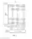 Fig. 13 - Two-substrate fingerprint recognition device