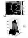 Fig. 07 - Method for detecting people and/or objects in a space