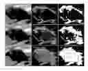 Fig. 01 - Real-time, semi-automatic method for target tracking window initialization in thermal imagery