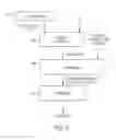 Fig. 07 - Method for risk management based on aggregated information from multiple payment networks while maintaining anonymity of user