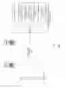 Fig. 02 - SYSTEM AND METHODS FOR EFFECTIVELY TAKING SURVEYS USING MOBILE DEVICES