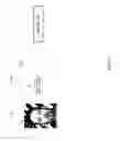 Fig. 02 - Dynamic digital watermark