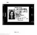Fig. 13 - Dynamic digital watermark
