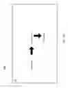 Fig. 26 - Dynamic digital watermark