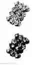 Fig. 01 - METHODS OF ENHANCING DIGITAL IMAGES