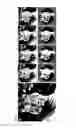 Fig. 05 - METHODS OF ENHANCING DIGITAL IMAGES