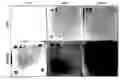 Fig. 01 - Biological material fouling assessment systems and methods
