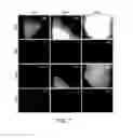 Fig. 06 - Biological material fouling assessment systems and methods