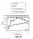Fig. 07 - Automated comparison of 3D images