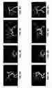Fig. 10 - Automated comparison of 3D images
