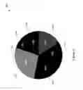 Fig. 03 - Techniques for dynamically displaying pie charts for direct comparison