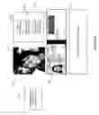 Fig. 09 - APPARATUS, SYSTEMS AND METHODS FOR PROVIDING ENTERTAINMENT AND ADVERTISING INVOLVING PARI-MUTUEL WAGERING