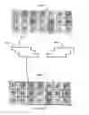 Fig. 52 - Lot-to-lot roulette combination