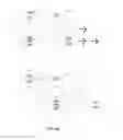 Fig. 54 - Lot-to-lot roulette combination