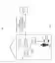 Fig. 08 - Digital fingerprint tracking