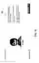 Fig. 13 - SYSTEMS METHODS AND DEVICES FOR BRAIN HEALTH ASSESSMENT