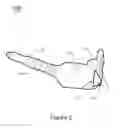Fig. 03 - Guitar plectrum and harness combination