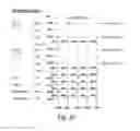 Fig. 15 - Comparison operations in memory