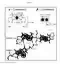 Fig. 05 - Modular supramolecular approach for co-crystallization of donors and acceptors into ordered networks