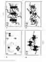 Fig. 10 - Modular supramolecular approach for co-crystallization of donors and acceptors into ordered networks