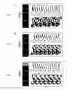 Fig. 11 - Modular supramolecular approach for co-crystallization of donors and acceptors into ordered networks