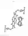 Fig. 35 - Modular supramolecular approach for co-crystallization of donors and acceptors into ordered networks