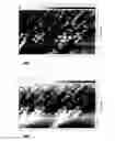 Fig. 49 - Modular supramolecular approach for co-crystallization of donors and acceptors into ordered networks