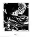 Fig. 02 - Method of manufacturing graphene composite including ultrasonic-wave pulverization post-treatment process and method of manufacturing active material using the same
