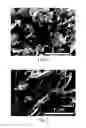Fig. 06 - Method of manufacturing graphene composite including ultrasonic-wave pulverization post-treatment process and method of manufacturing active material using the same