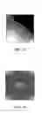 Fig. 09 - SUBSTRATE PROCESSING APPARATUS AND SUBSTRATE PROCESSING METHOD
